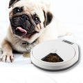 Buy Multi-Grid Pet Automatic Feeder - Items For Everyone