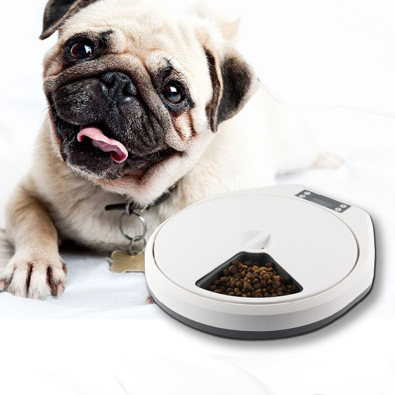 Buy Multi-Grid Pet Automatic Feeder - Items For Everyone