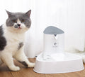 Buy Smart Pet Water Dispenser - Keep Your Pet Hydrated