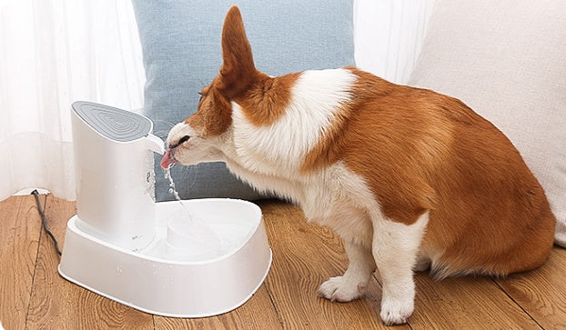 Buy Smart Pet Water Dispenser - Keep Your Pet Hydrated