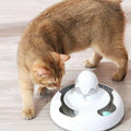 Buy Cat Automatic Game Machine - Best Cat Machine Game