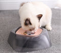 Pet Drinking Bowl - Items For Everyone
