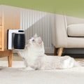Cat Corner Scratching Rubbing Brush - Items For Everyone